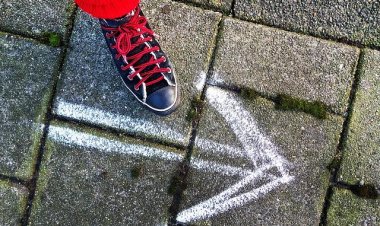 5 passos para um negócio lucrativo