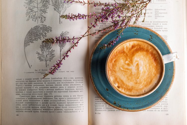 HORA DO CAFÉ