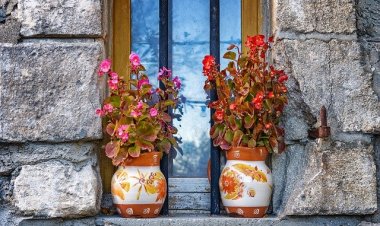 8 dicas do Feng Shui para turbinar sua prosperidade