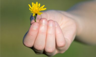Como começar a praticar a gratidão em sua vida
