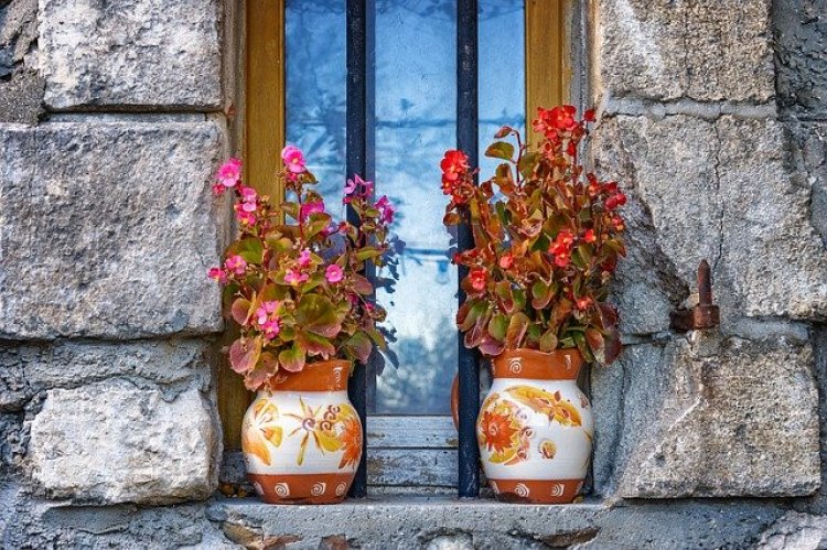 8 dicas do Feng Shui para turbinar sua prosperidade